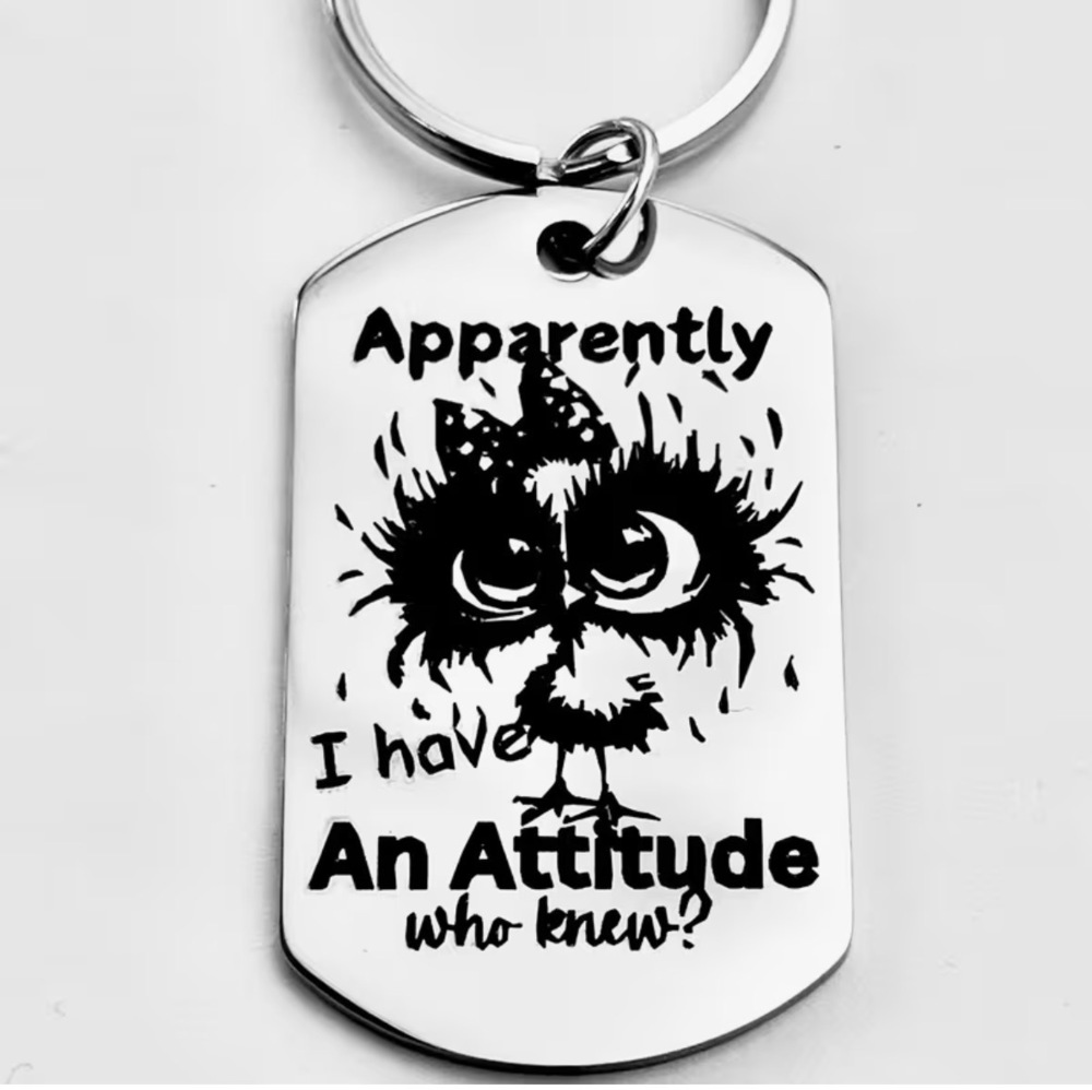 3/$25 Apparently I Have An Attitude Who Knew Stainless Steel Keychain NEW